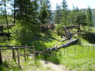 Start of the Ellis Ridge Trail, Ellis Ridge 2011-07.